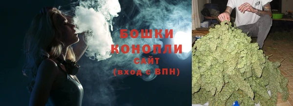PSILOCYBIN Богданович