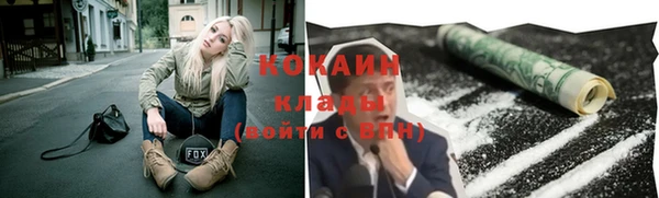 дживик Богородицк