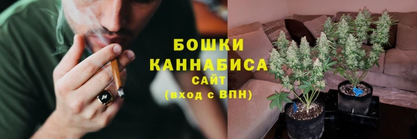 PSILOCYBIN Богданович