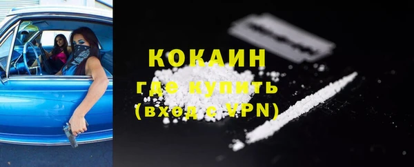 дживик Богородицк