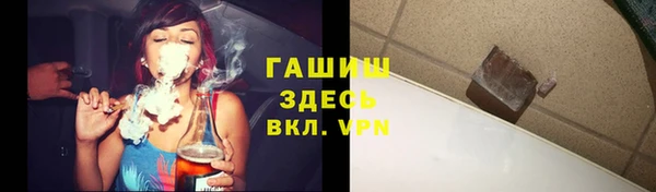 PSILOCYBIN Богданович