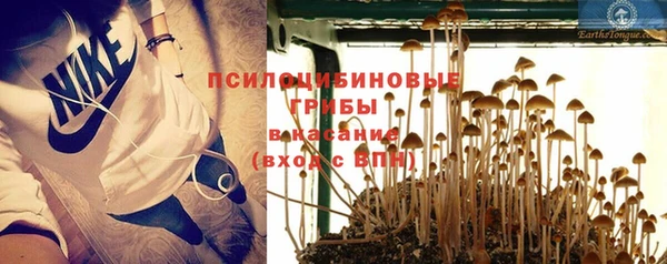 PSILOCYBIN Богданович
