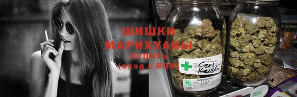 PSILOCYBIN Богданович